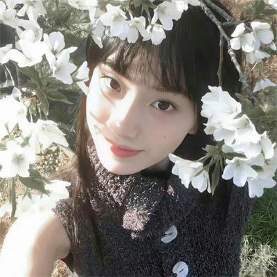 完美伴侣